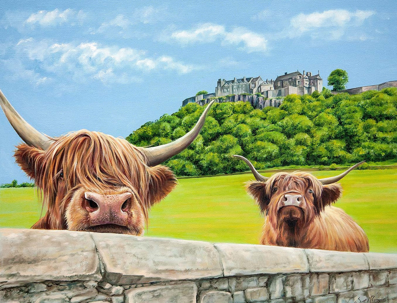 Heilan Coos at Stirling Castle by Scott McGregor