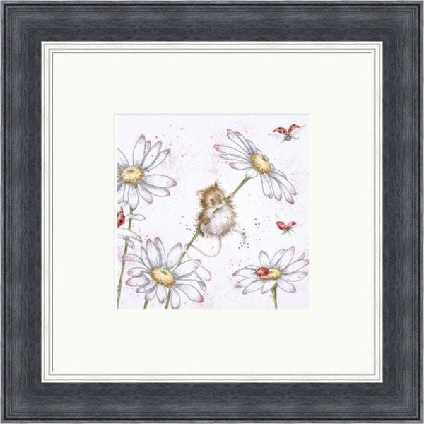 Oops A Daisy - Wrendale Designs by Hannah Dale