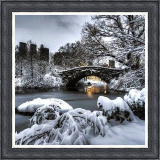 Central Park Winter, New York - Colour Burst Mini Liquid Art