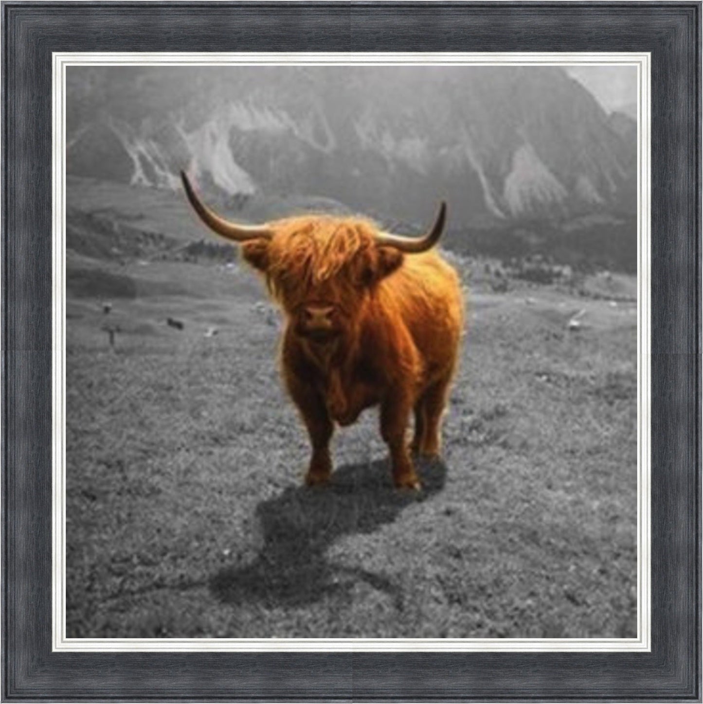Highland Cow - Colour Burst Mini Liquid Art