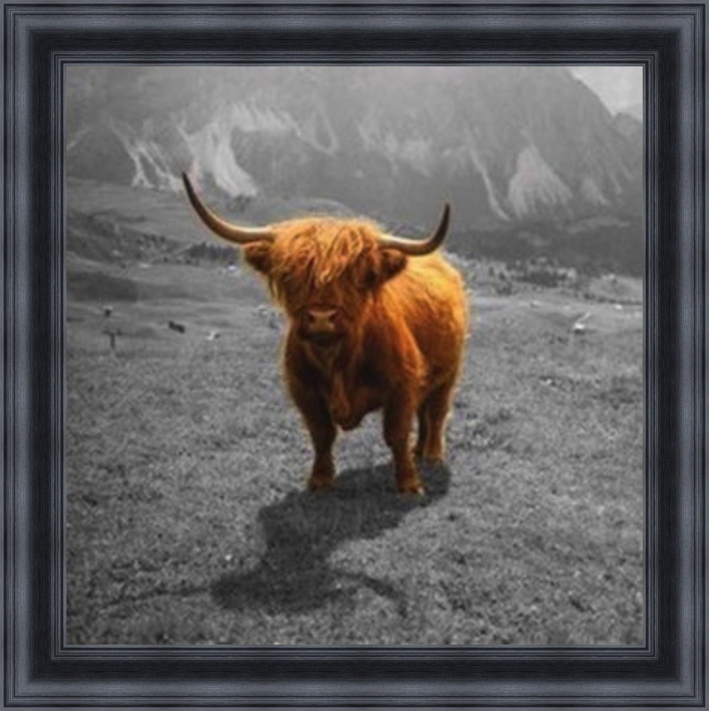 Highland Cow - Colour Burst Mini Liquid Art