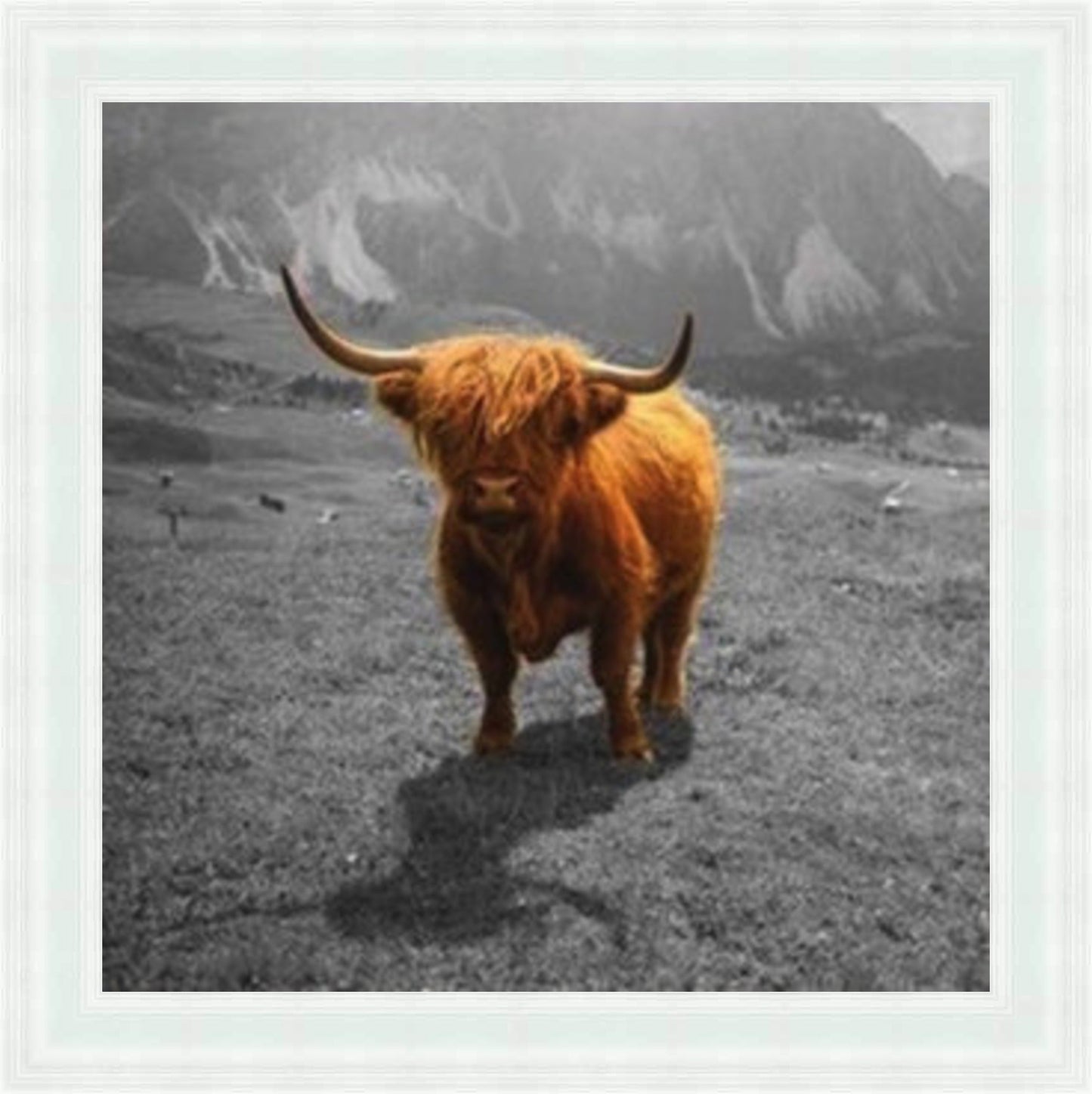 Highland Cow - Colour Burst Mini Liquid Art