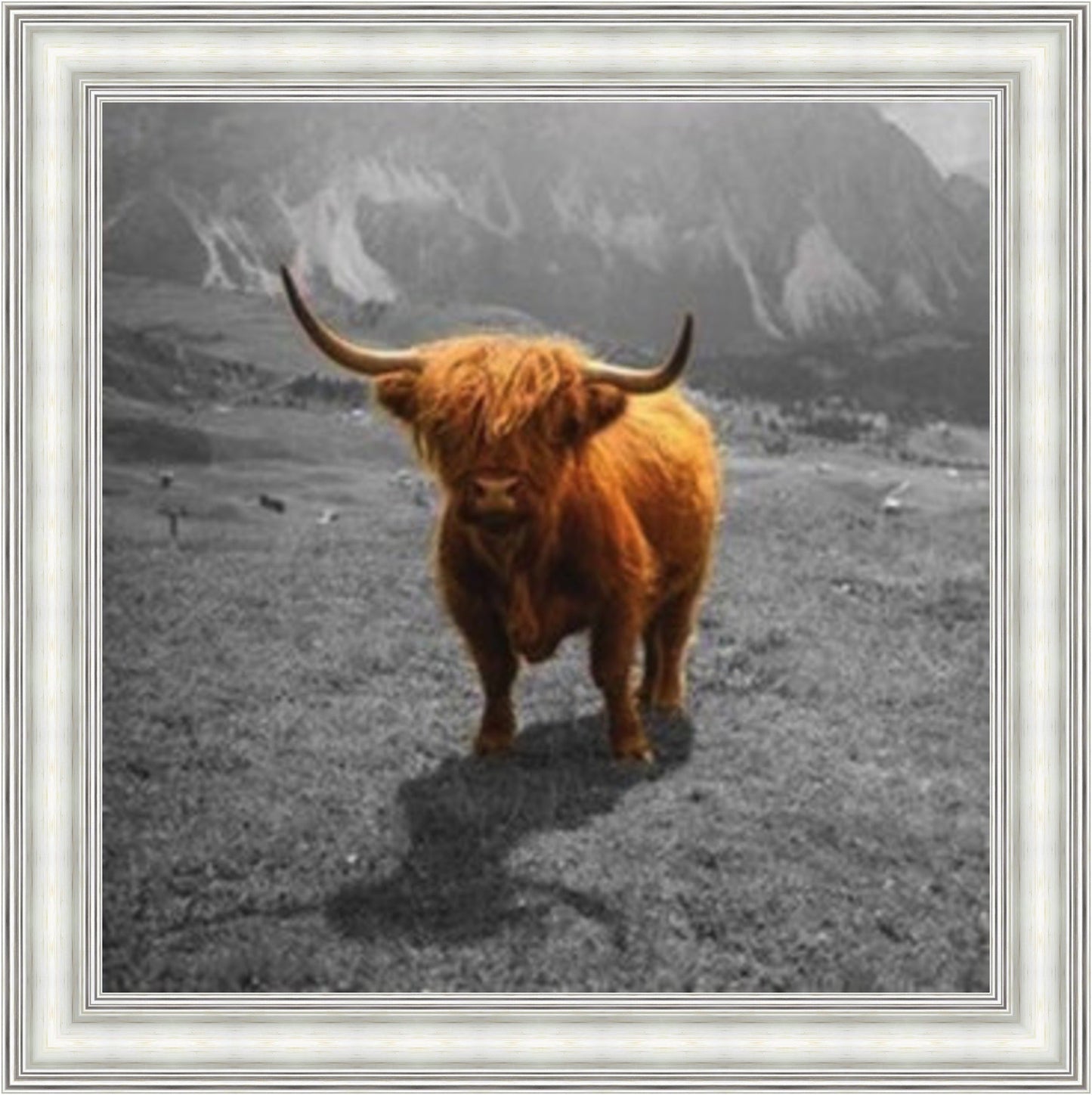 Highland Cow - Colour Burst Mini Liquid Art