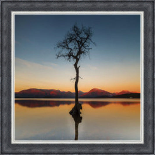 Reflected Tree, Loch Lomond - Colour Burst Mini Liquid Art