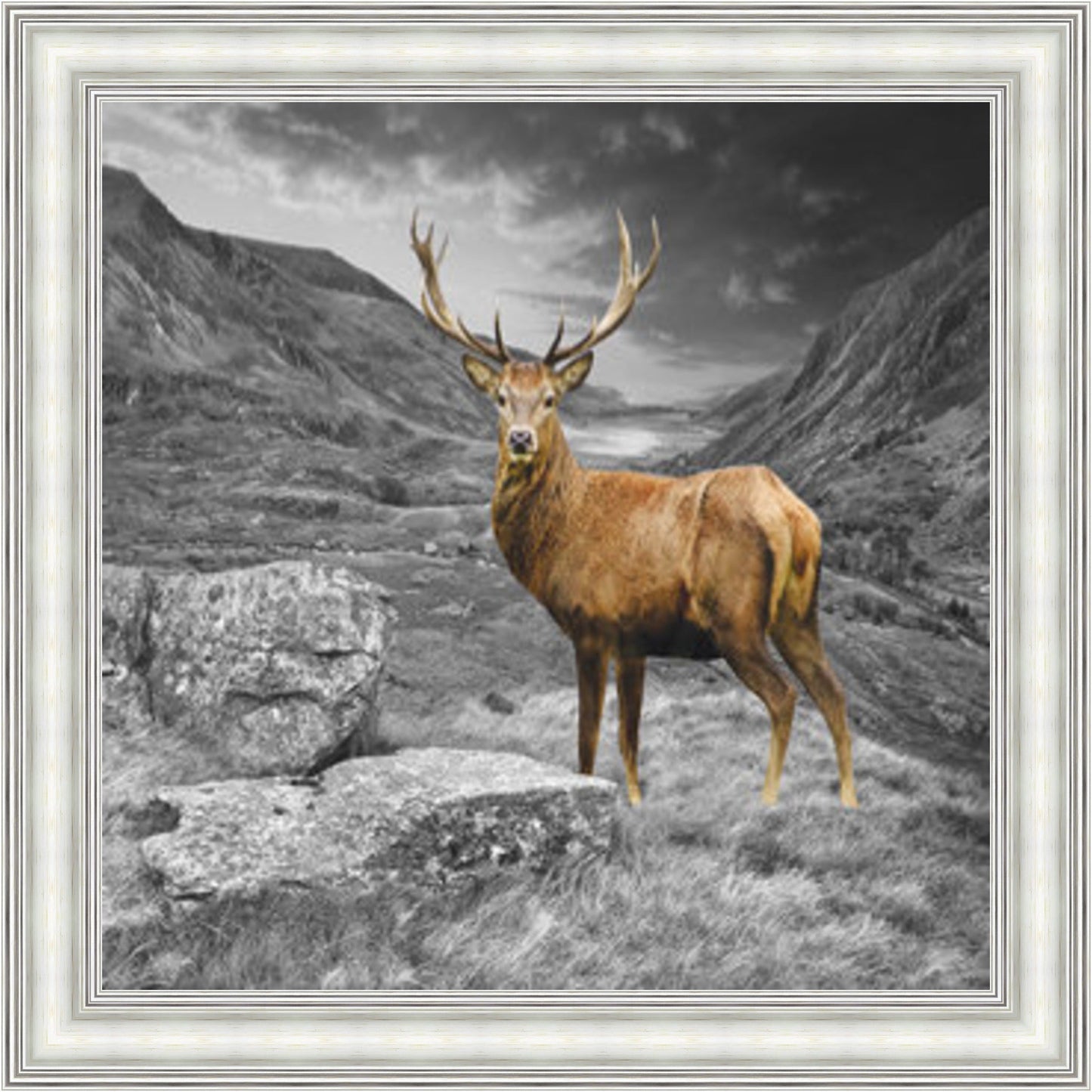 Stag - Colour Burst Mini Liquid Art
