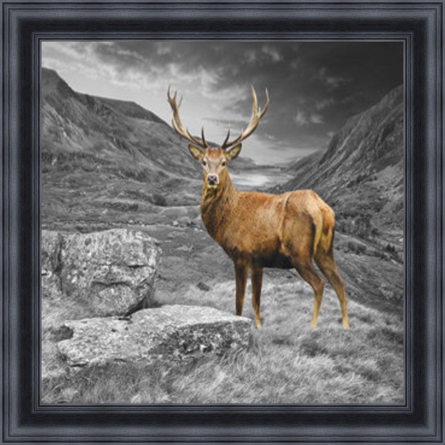 Stag - Colour Burst Mini Liquid Art