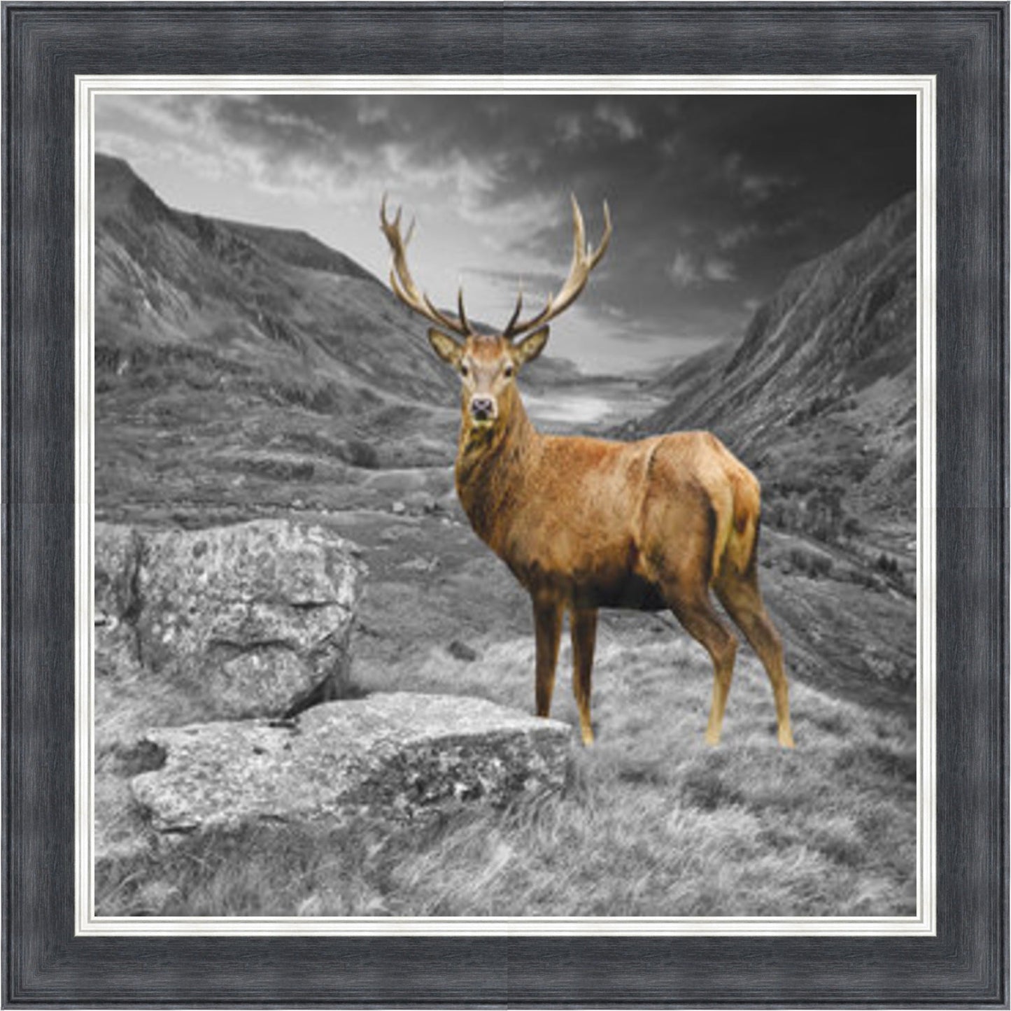Stag - Colour Burst Mini Liquid Art