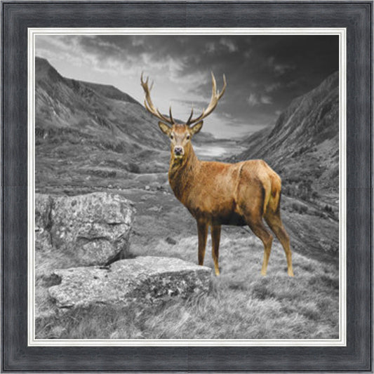 Stag - Colour Burst Mini Liquid Art