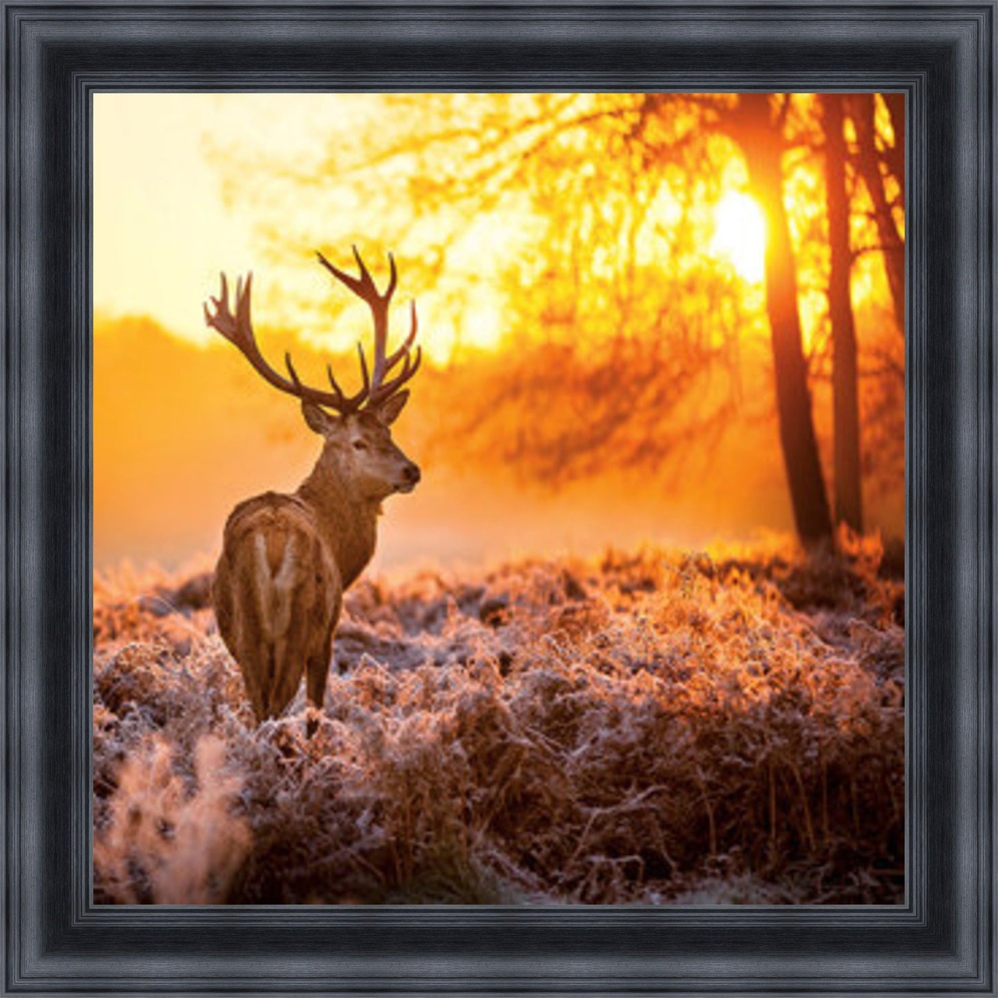 Stag In Golden Sunset Mini Liquid Art