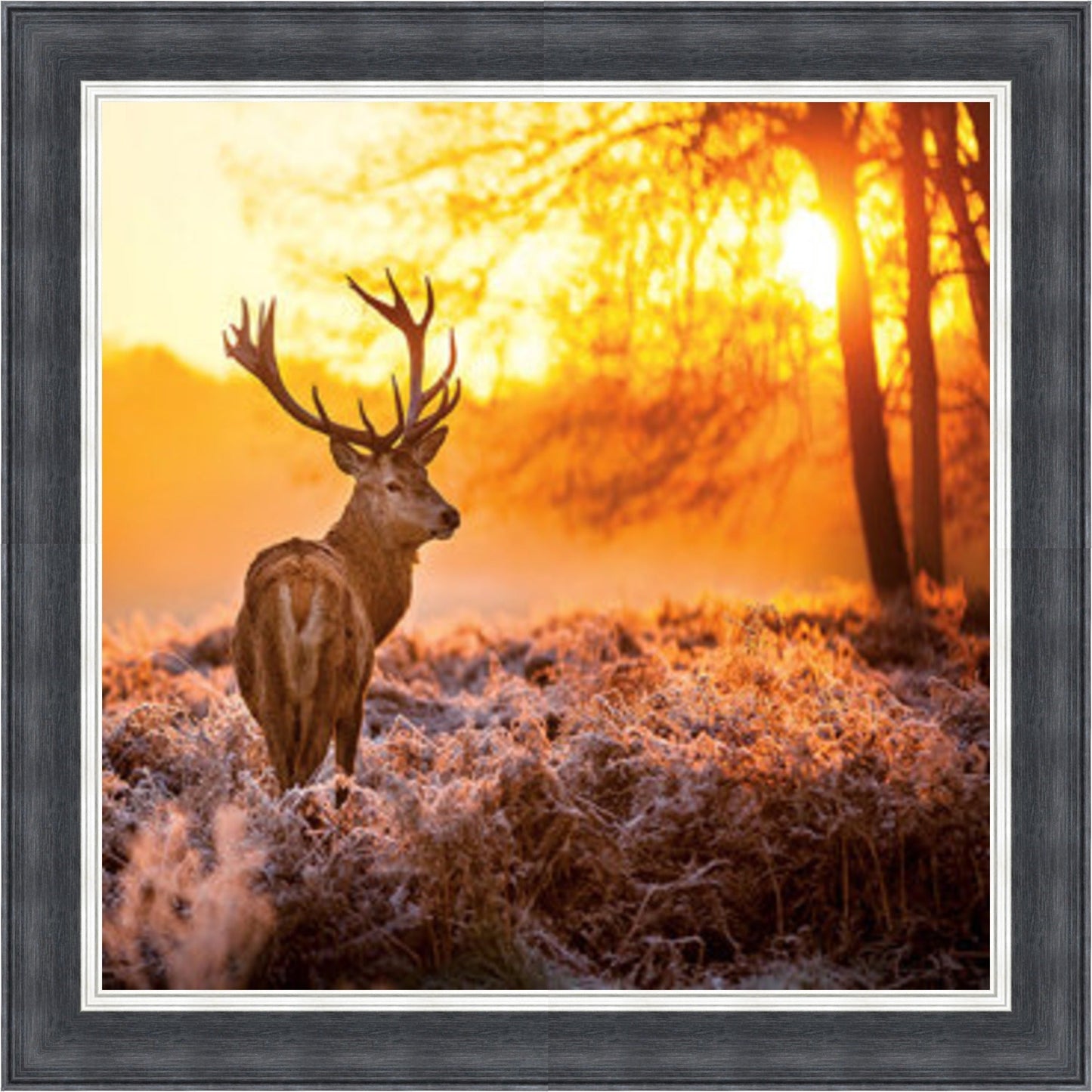 Stag In Golden Sunset Mini Liquid Art