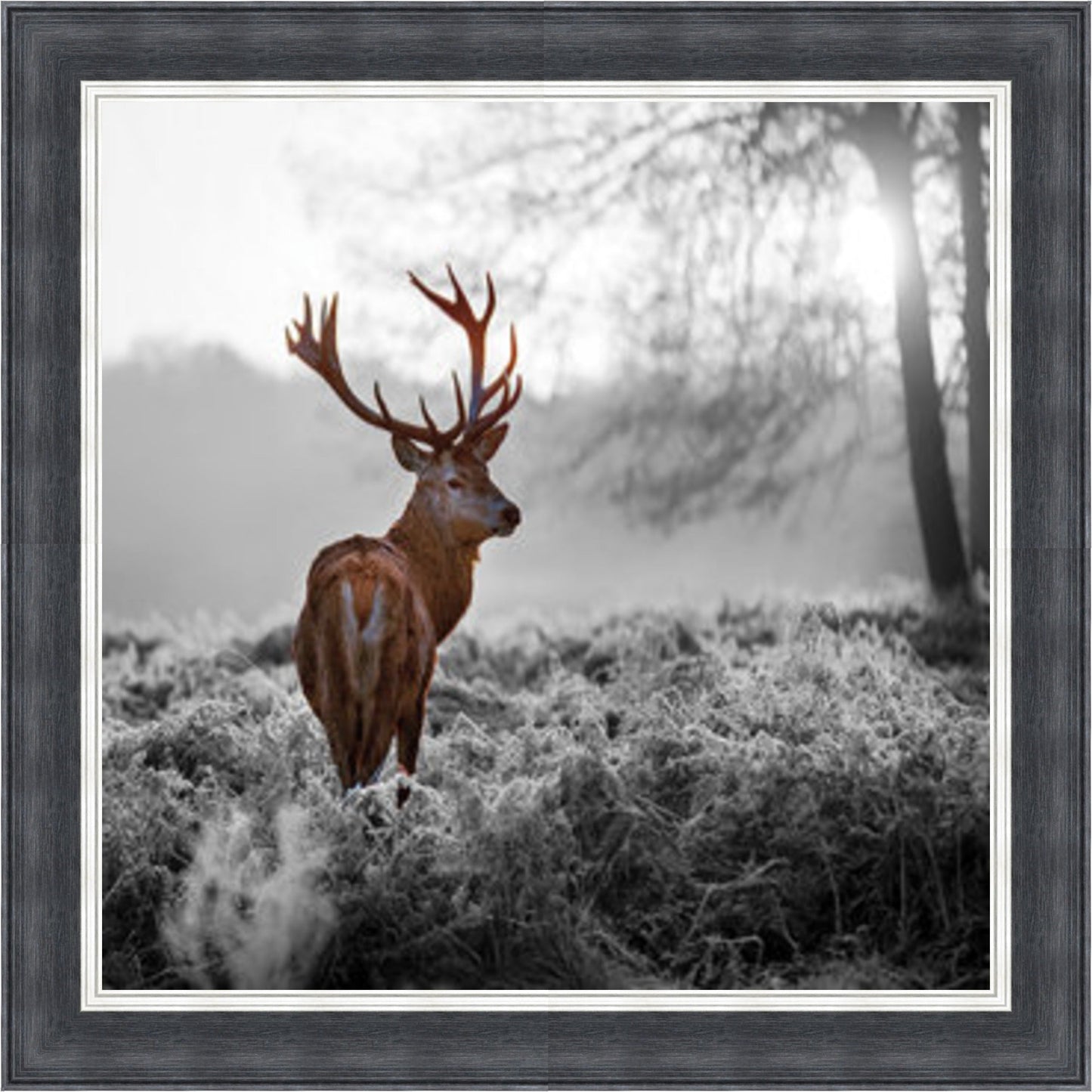 Stag In Golden Sunset - Colour Burst Mini Liquid Art