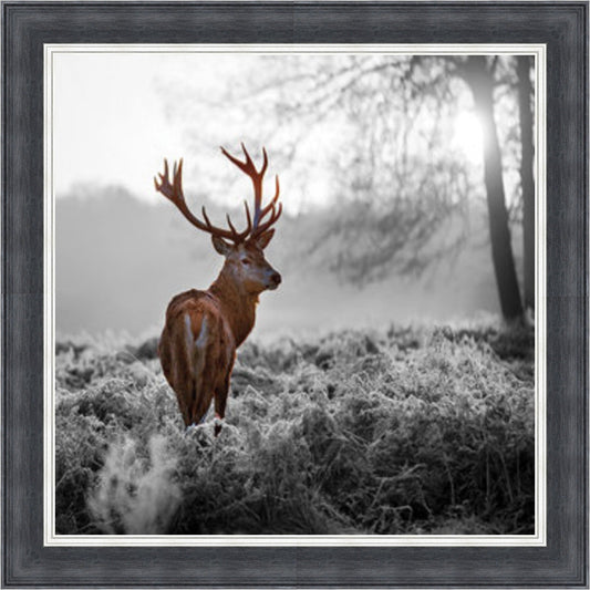 Stag In Golden Sunset - Colour Burst Mini Liquid Art