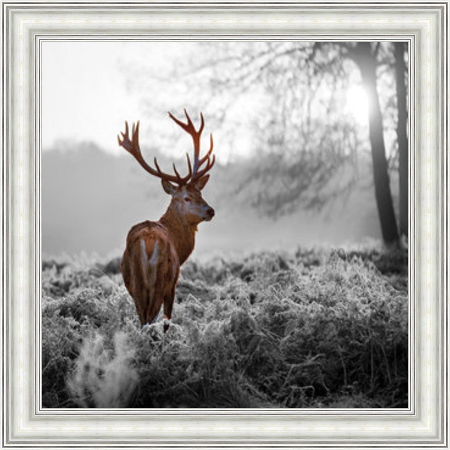 Stag In Golden Sunset - Colour Burst Mini Liquid Art