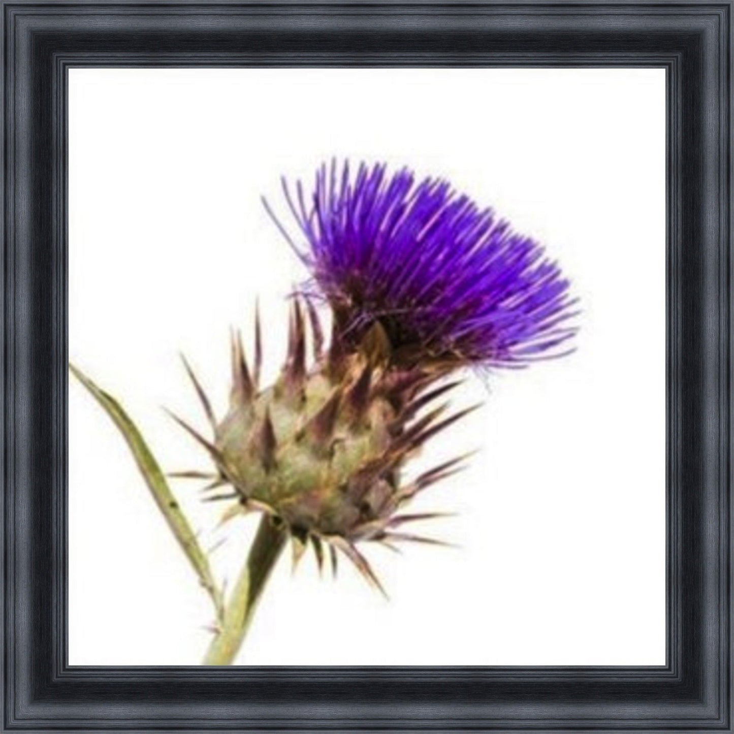 Thistle - Burst of Colour Mini Liquid Art
