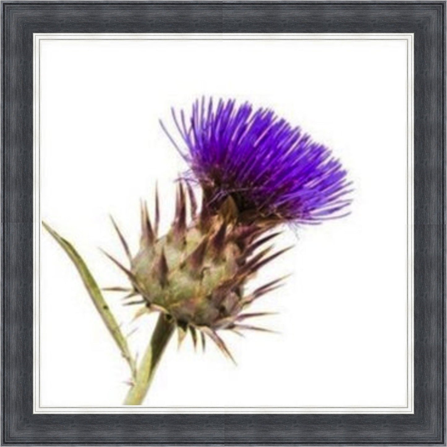 Thistle - Burst of Colour Mini Liquid Art