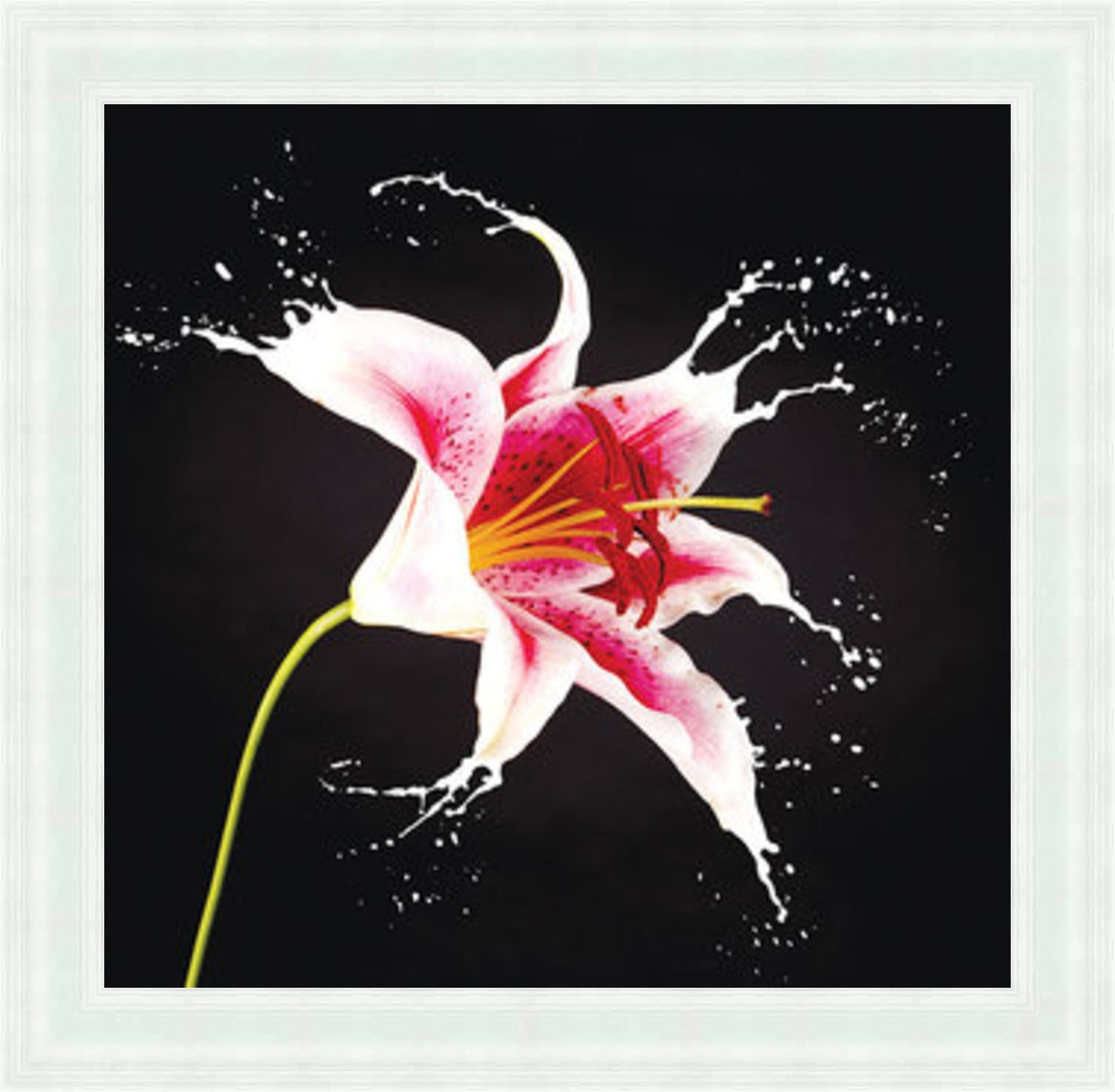 Lily Mini Liquid Art