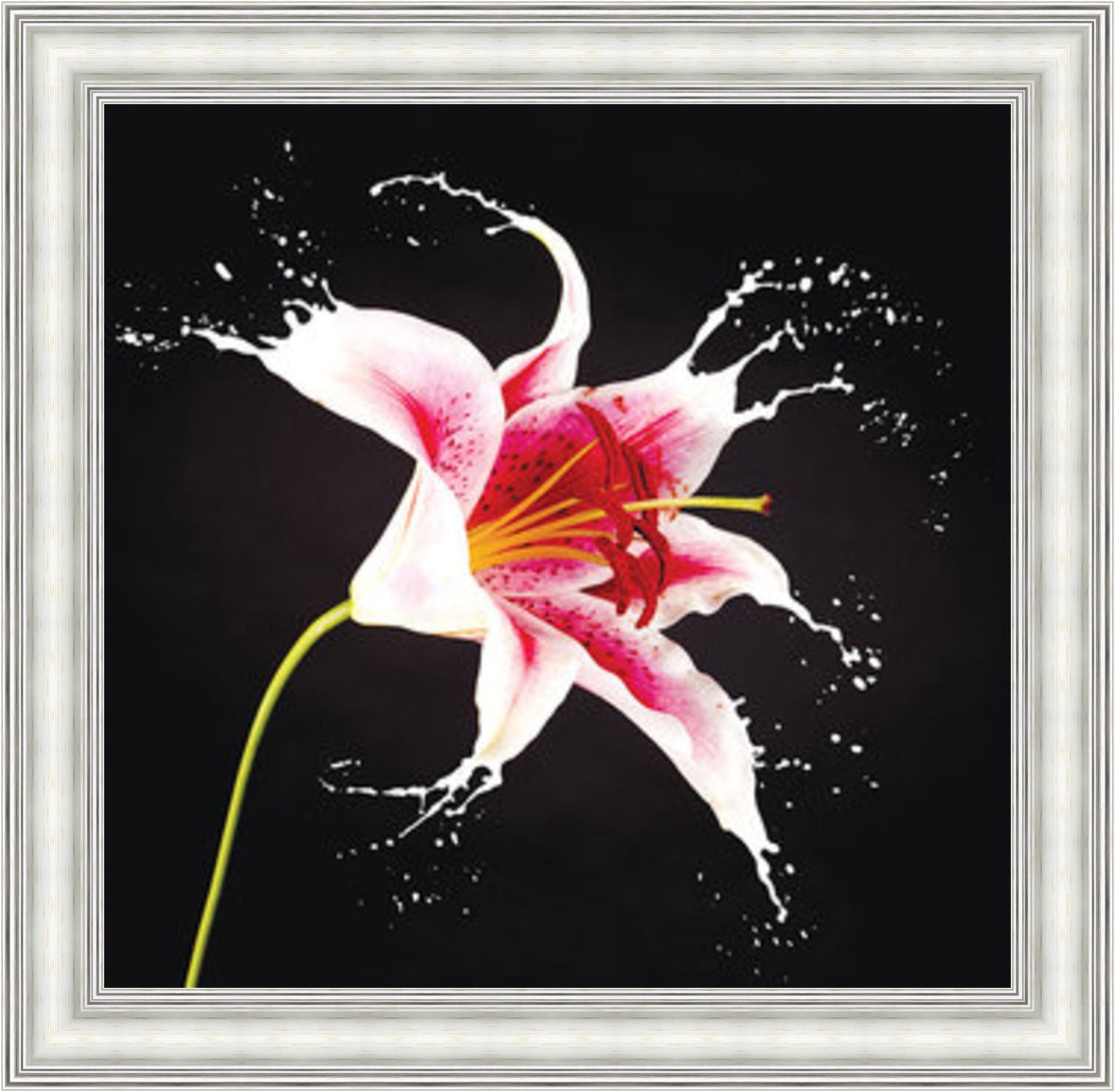 Lily Mini Liquid Art