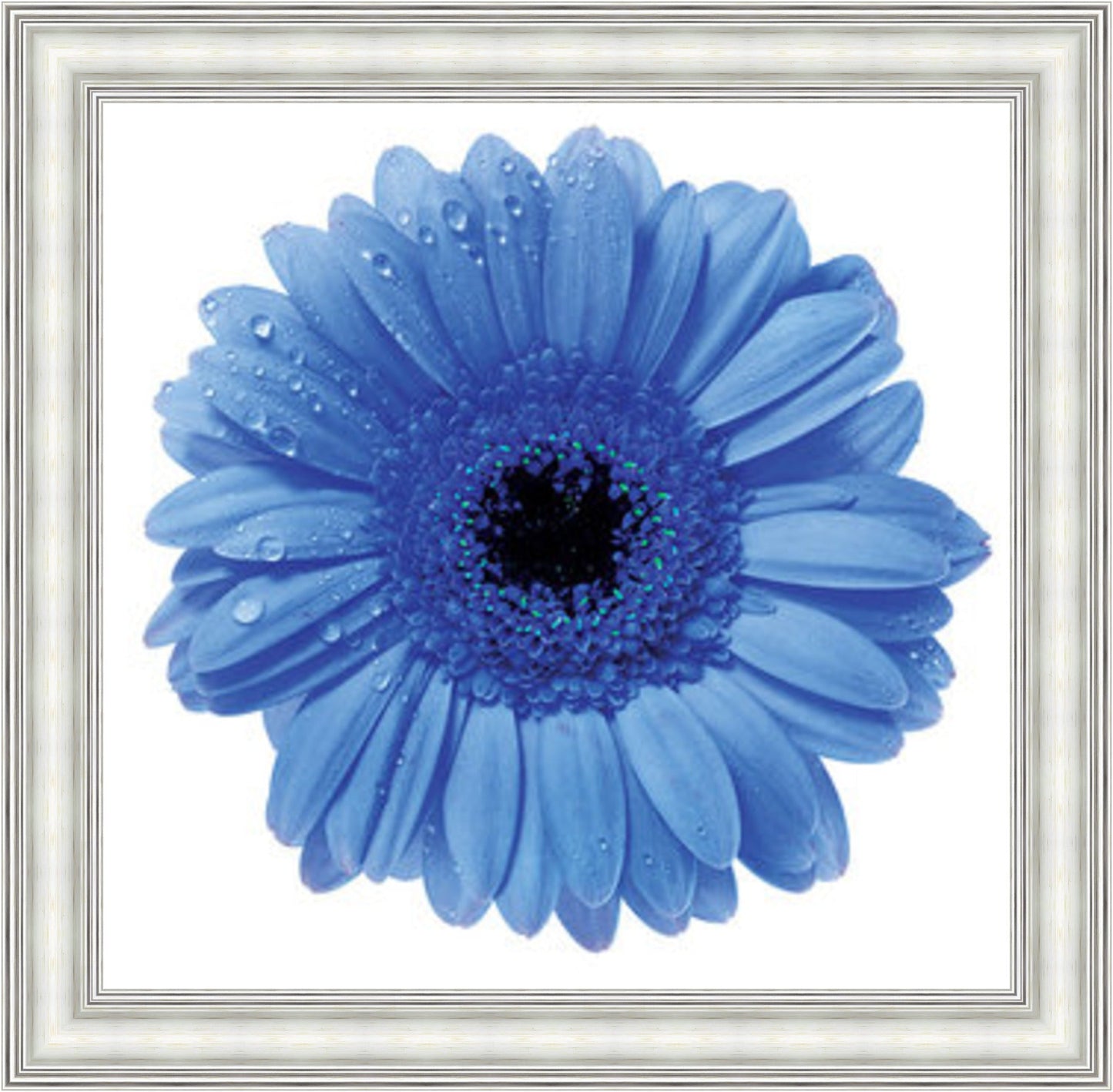 Blue Gerbera Mini Liquid Art