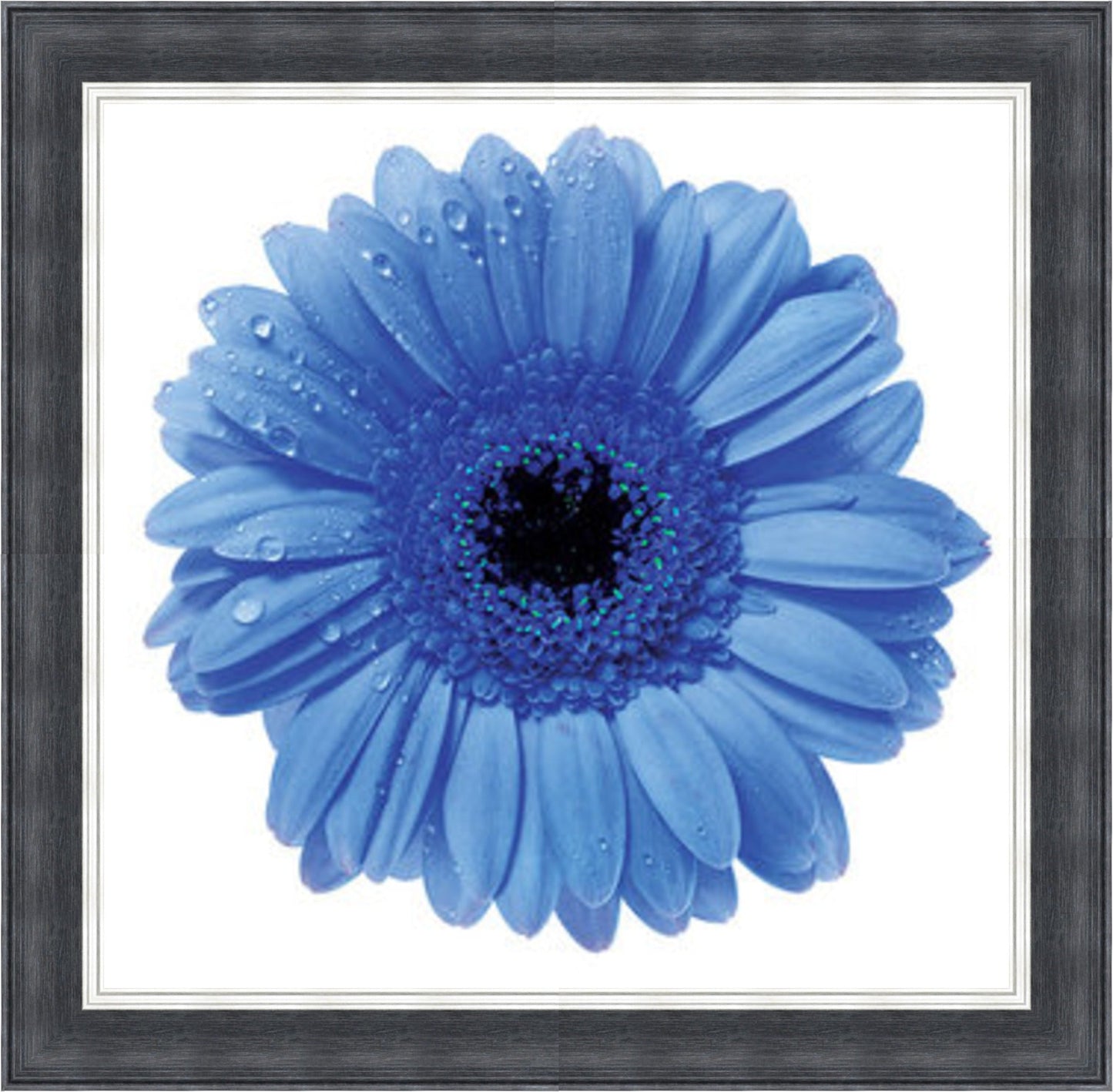Blue Gerbera Mini Liquid Art