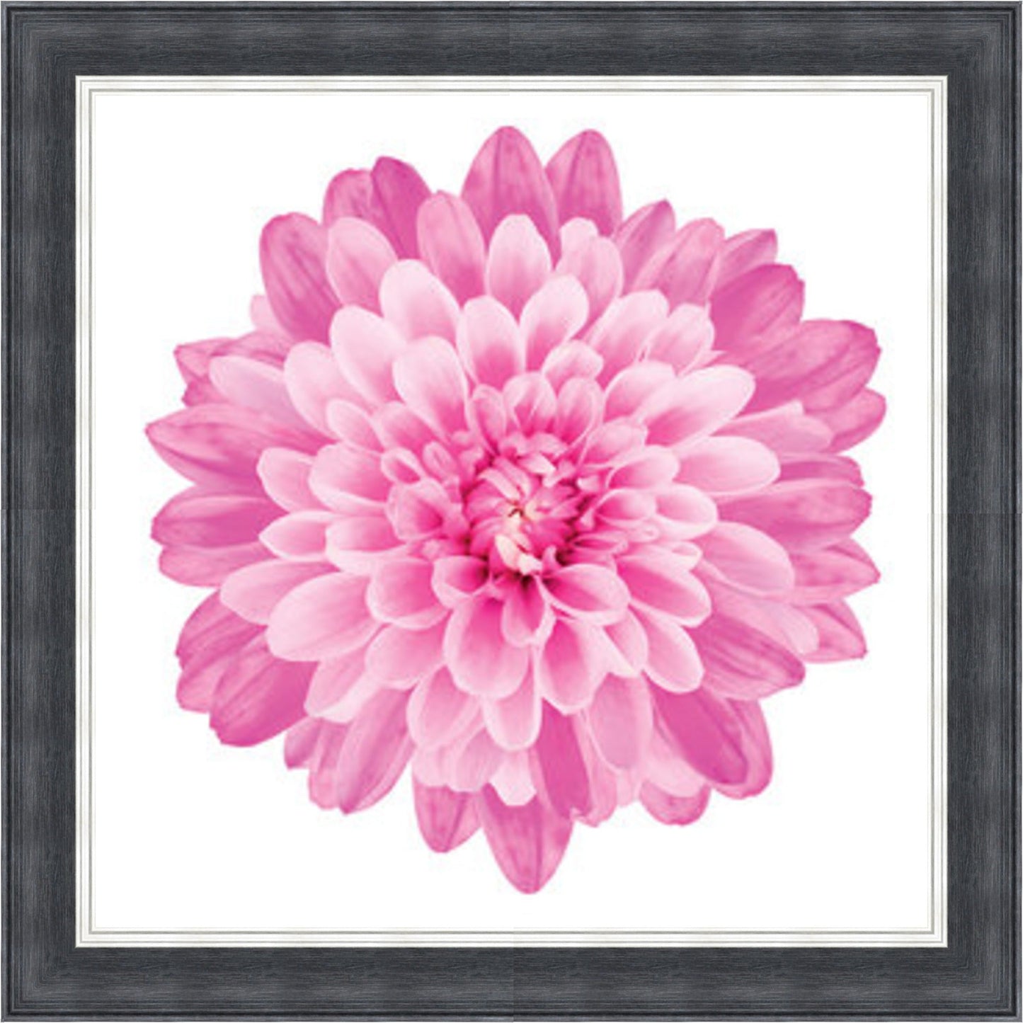 Pink Dahlia Mini Liquid Art