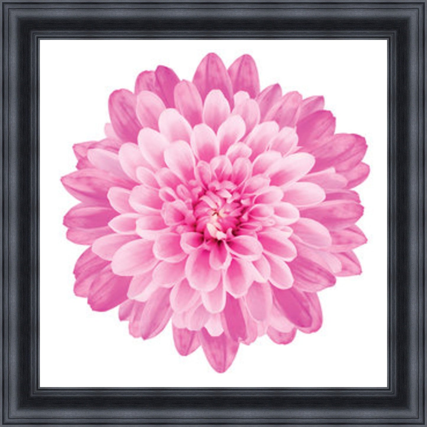 Pink Dahlia Mini Liquid Art