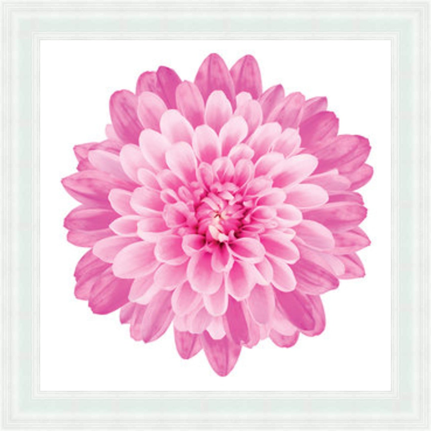 Pink Dahlia Mini Liquid Art