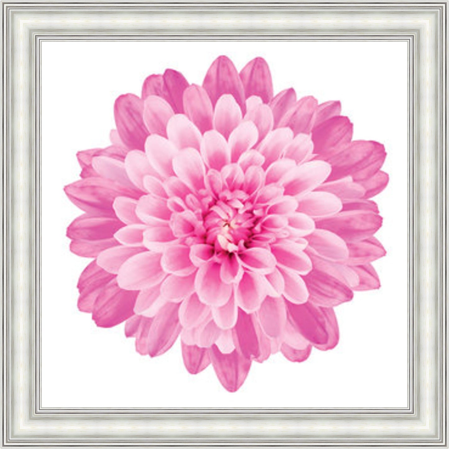 Pink Dahlia Mini Liquid Art