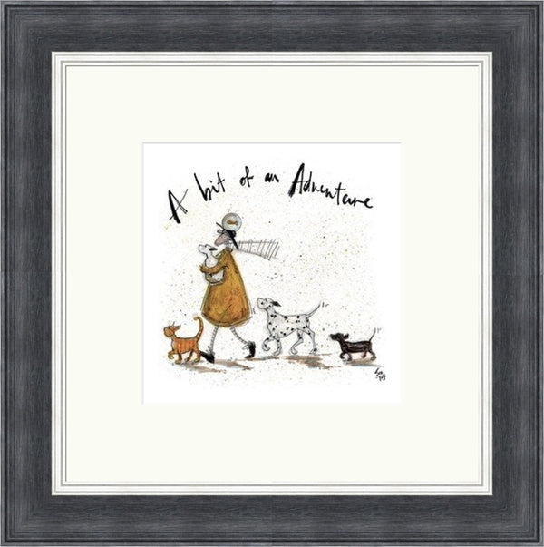 A Bit of an Adventure by Sam Toft