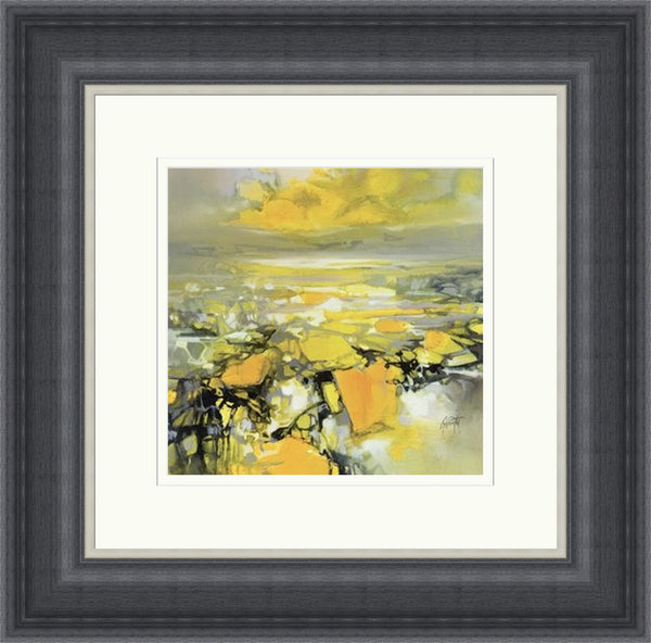 Yellow Matter 2 by Scott Naismith