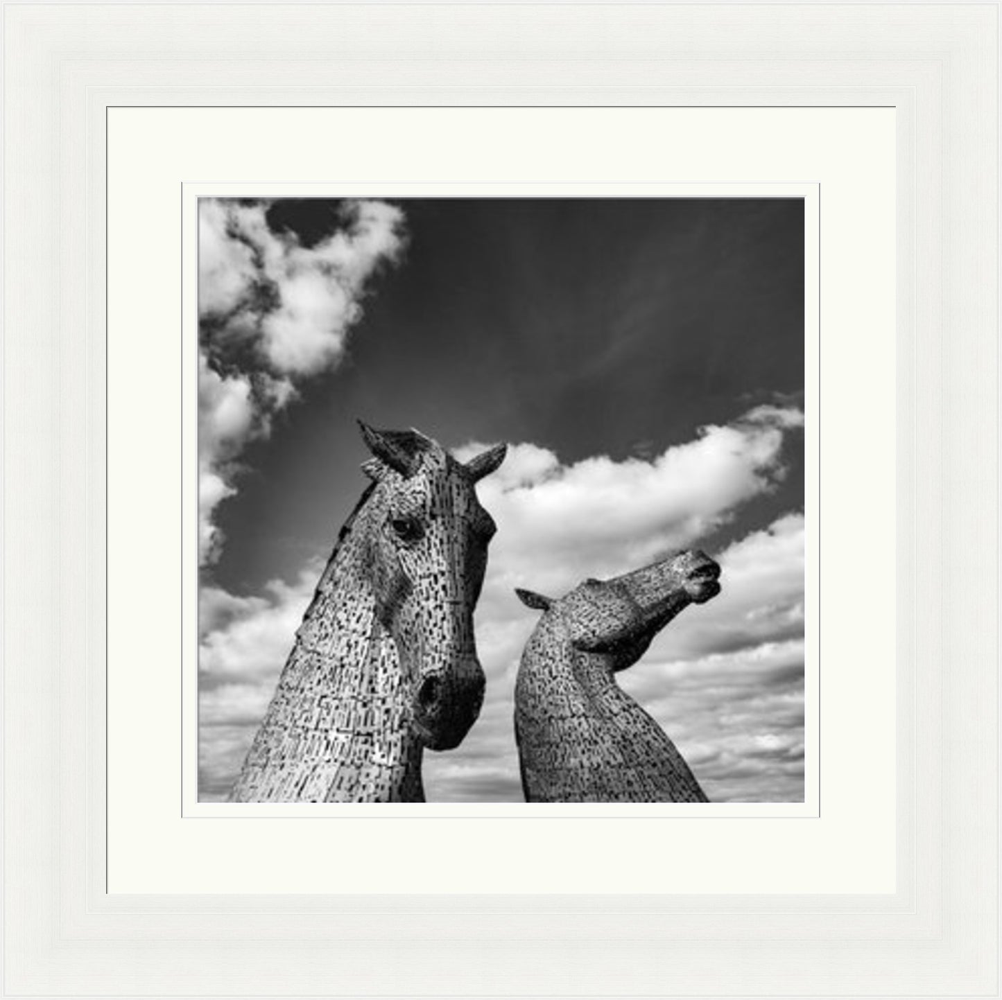 Kelpies Black and White