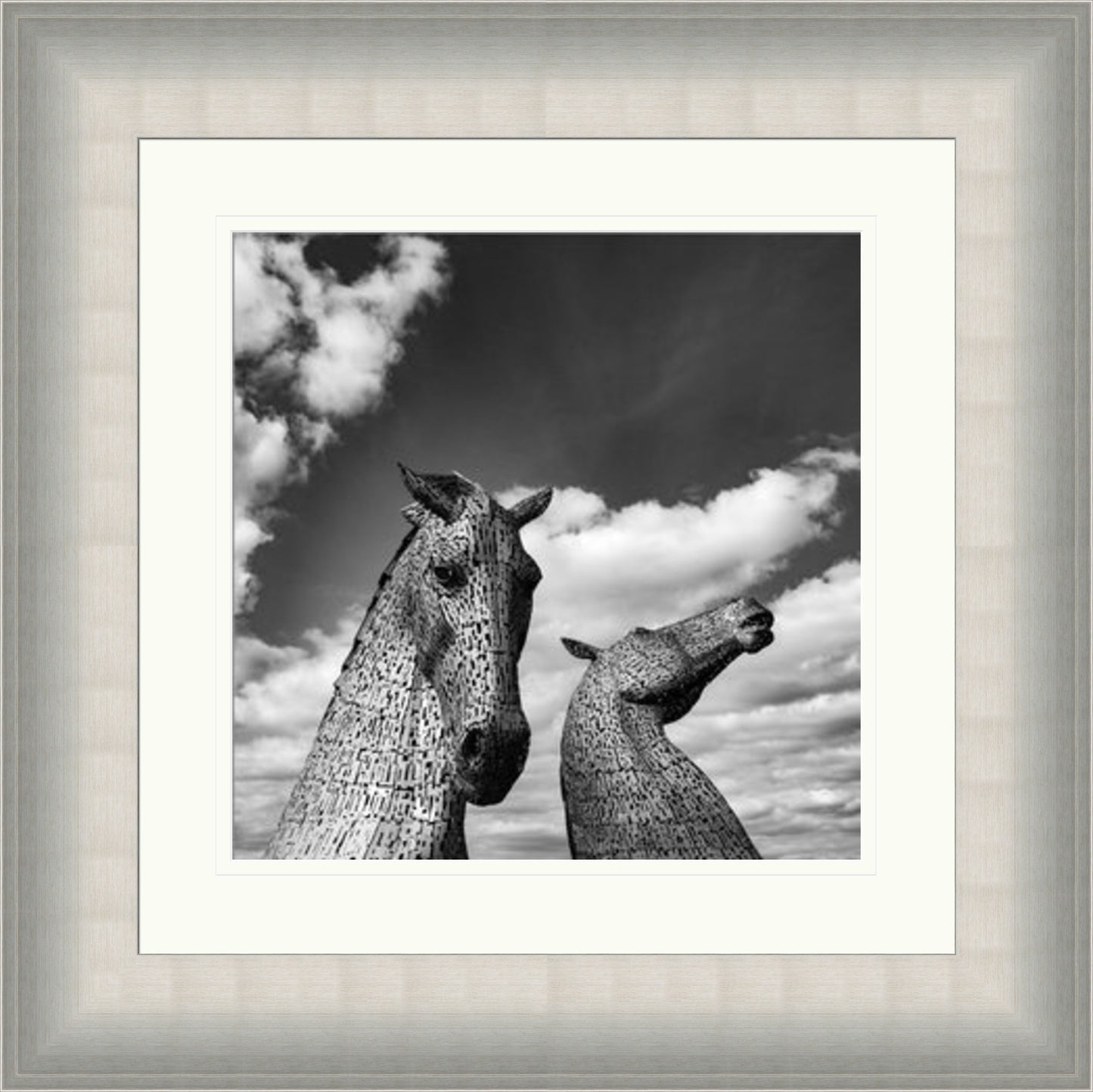 Kelpies Black and White