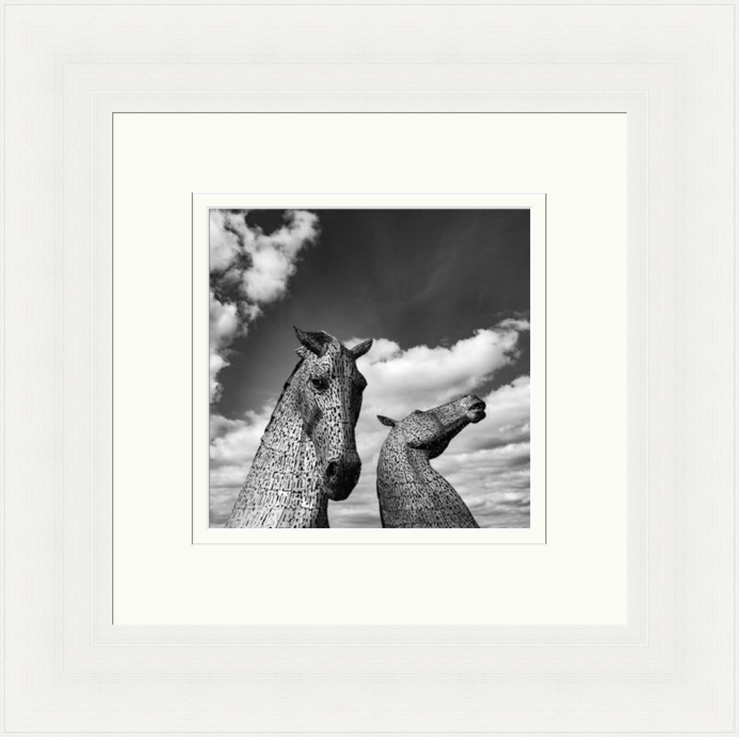 Kelpies Black and White