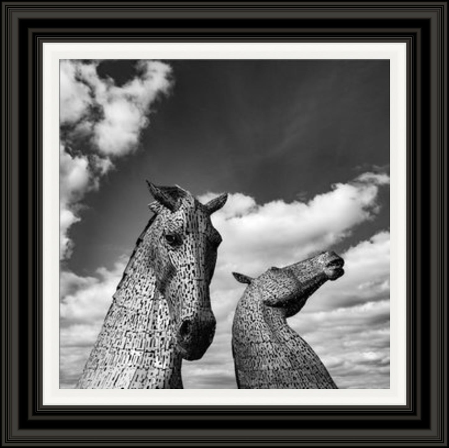 Kelpies Black and White