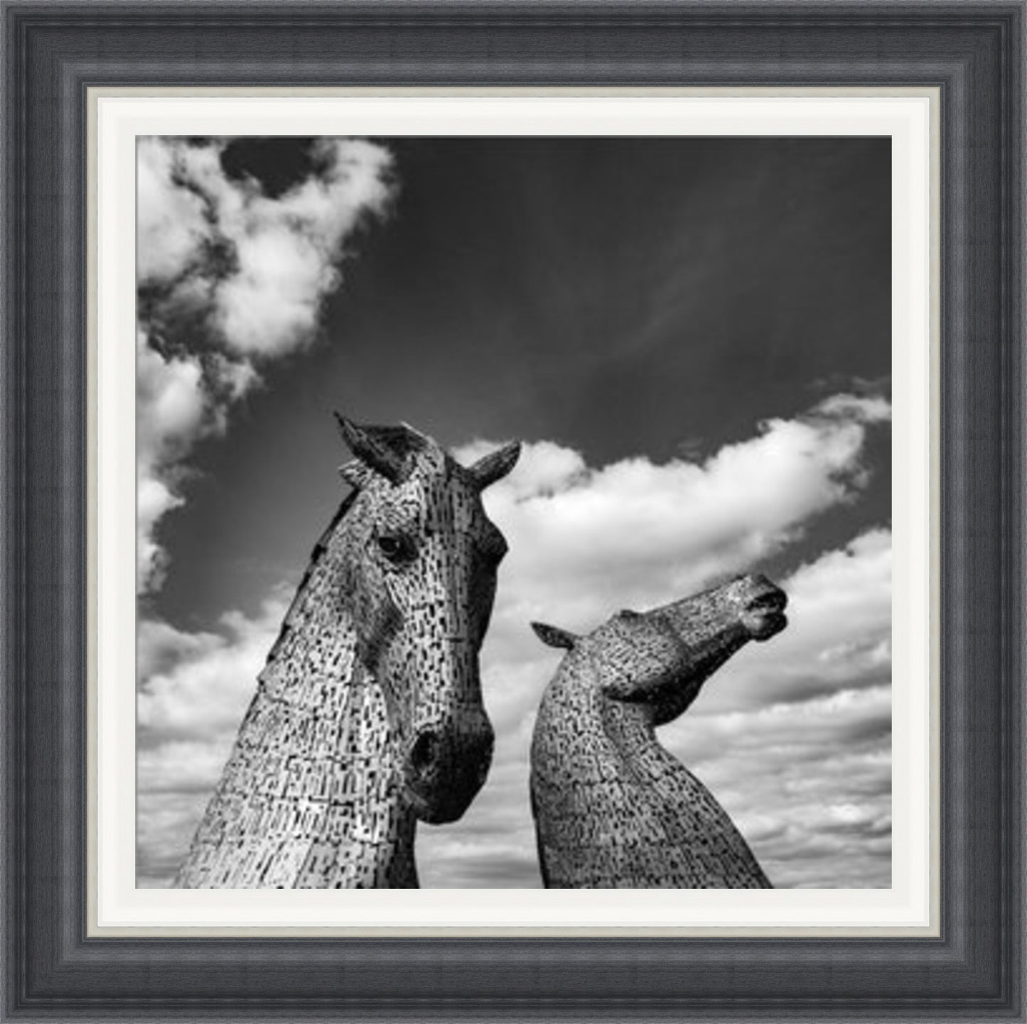 Kelpies Black and White