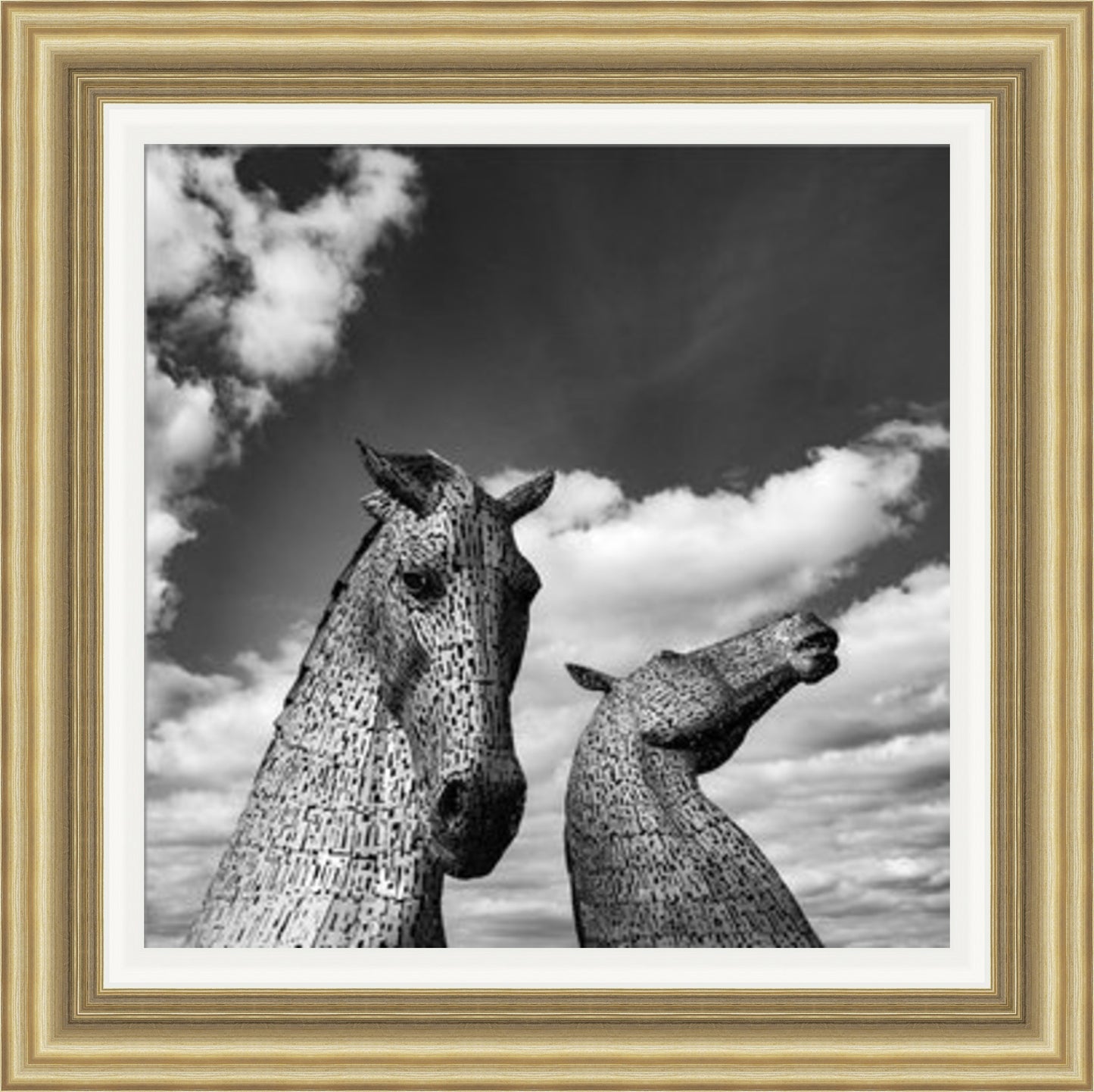 Kelpies Black and White