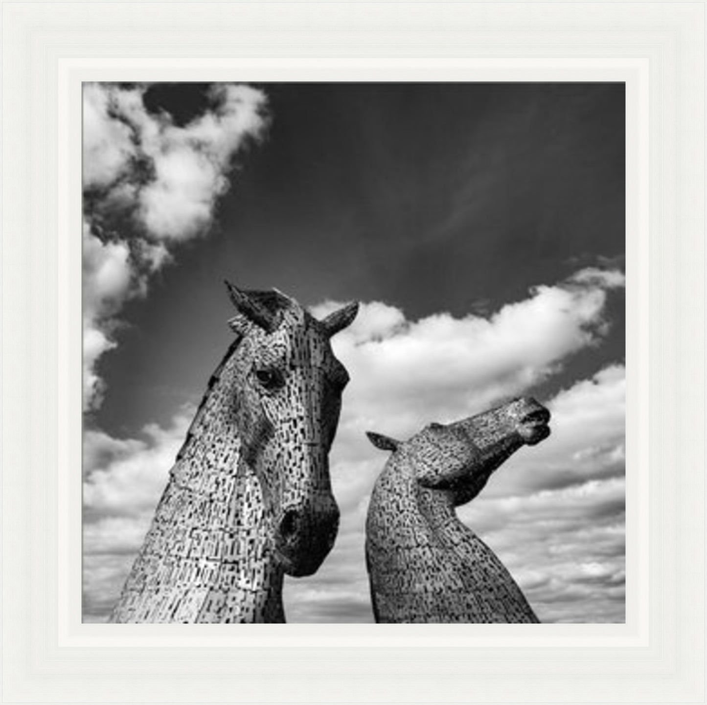 Kelpies Black and White