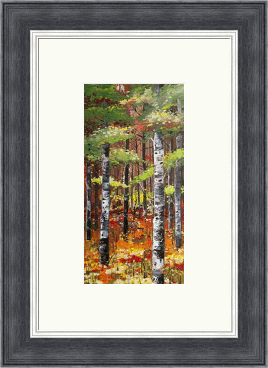 Birch Trees and Poppies by Daniel Campbell