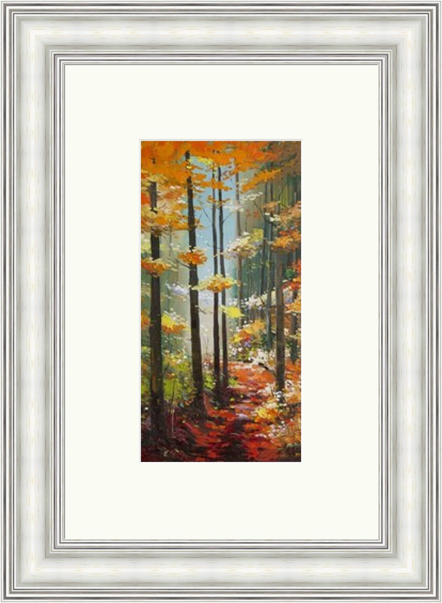 Woodland Light by Daniel Campbell