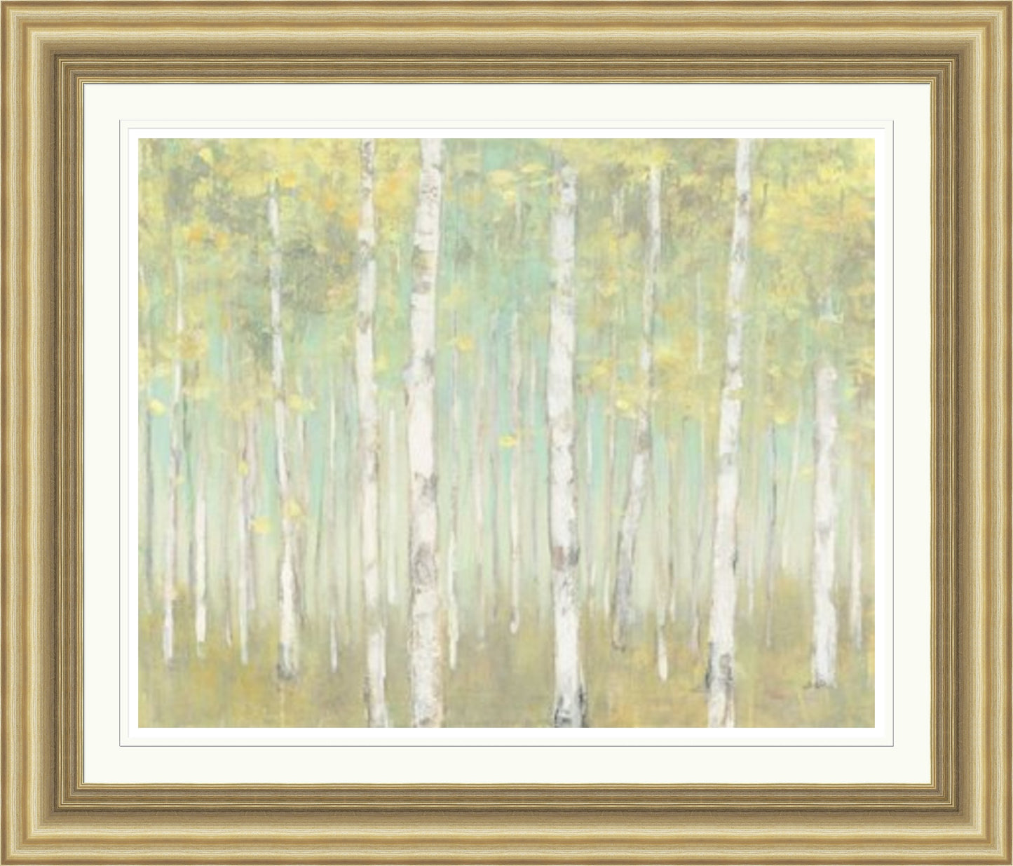 Sylvan Birches by Julia Purinton