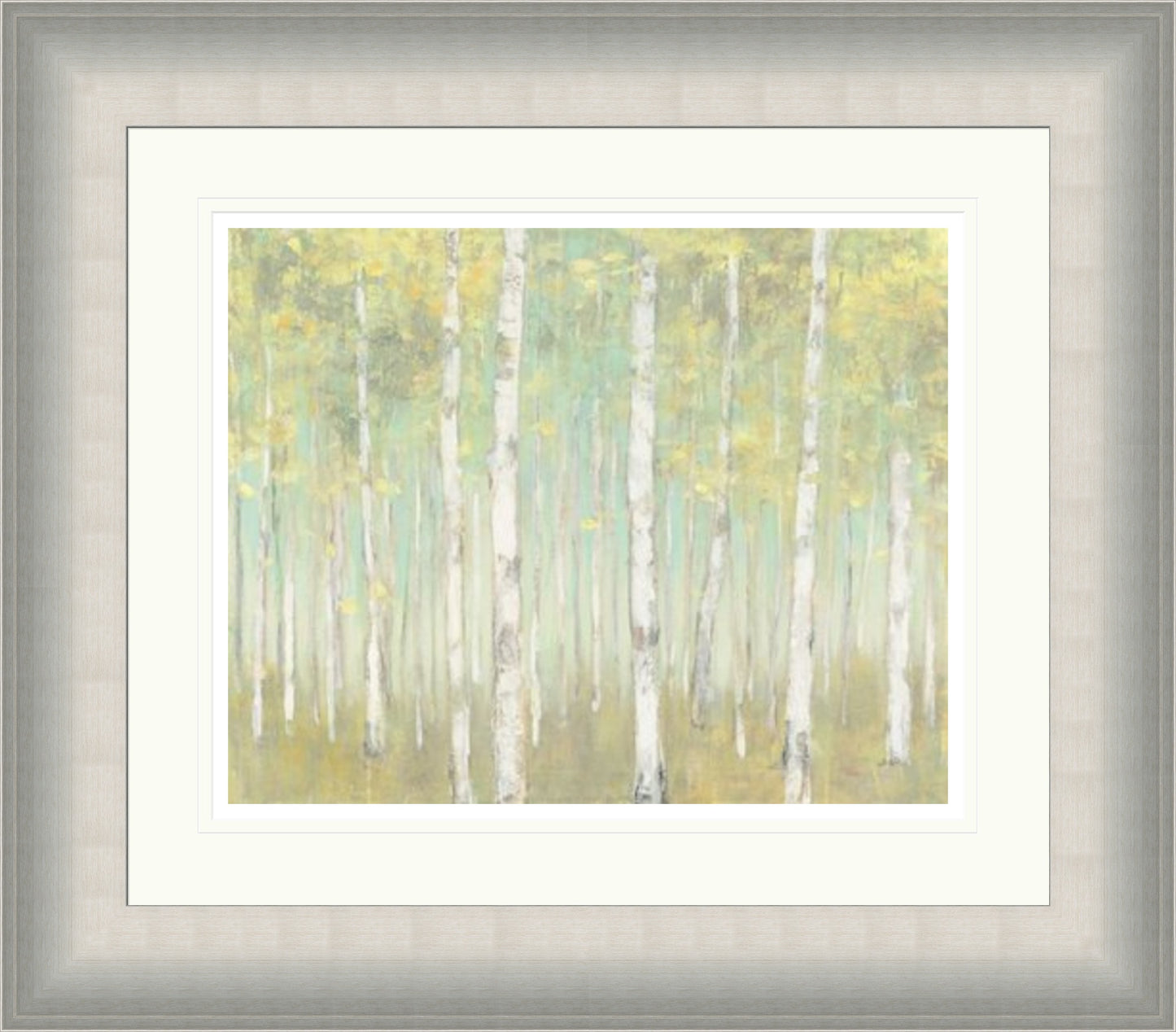 Sylvan Birches by Julia Purinton