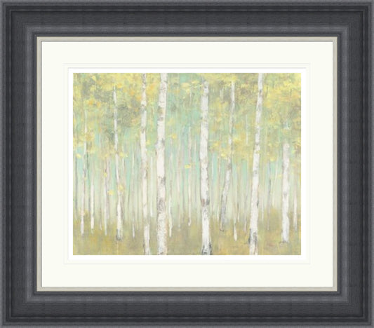 Sylvan Birches by Julia Purinton