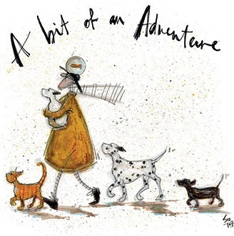 A Bit of an Adventure by Sam Toft