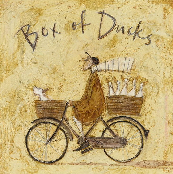 Box of Ducks by Sam toft