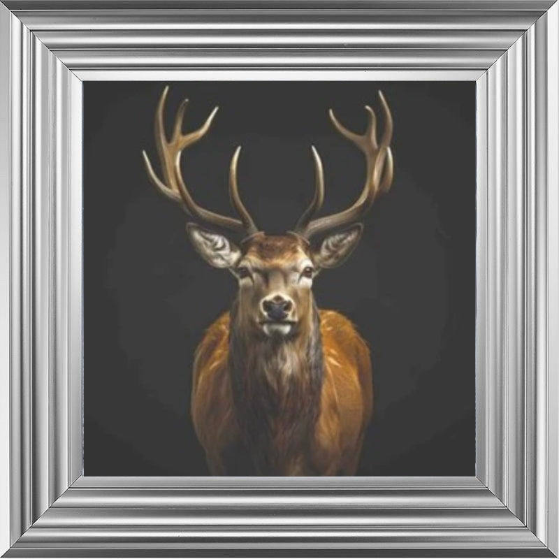 Majestic Stag