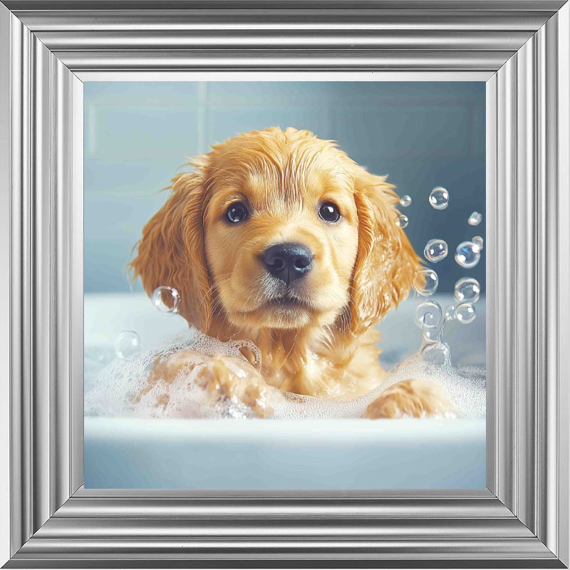 Golden Retriever Puppy Bath Time