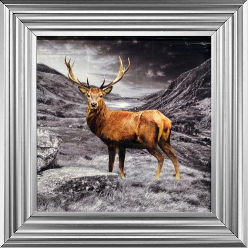 Stag - Colour Splash