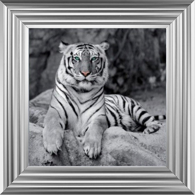 Lazy White Tiger