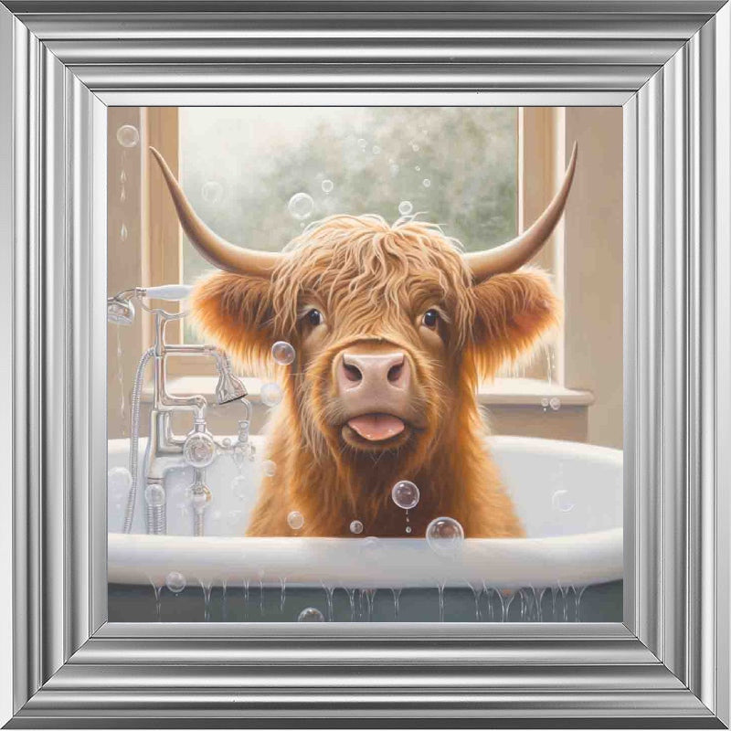 Highland Cow Bath Time