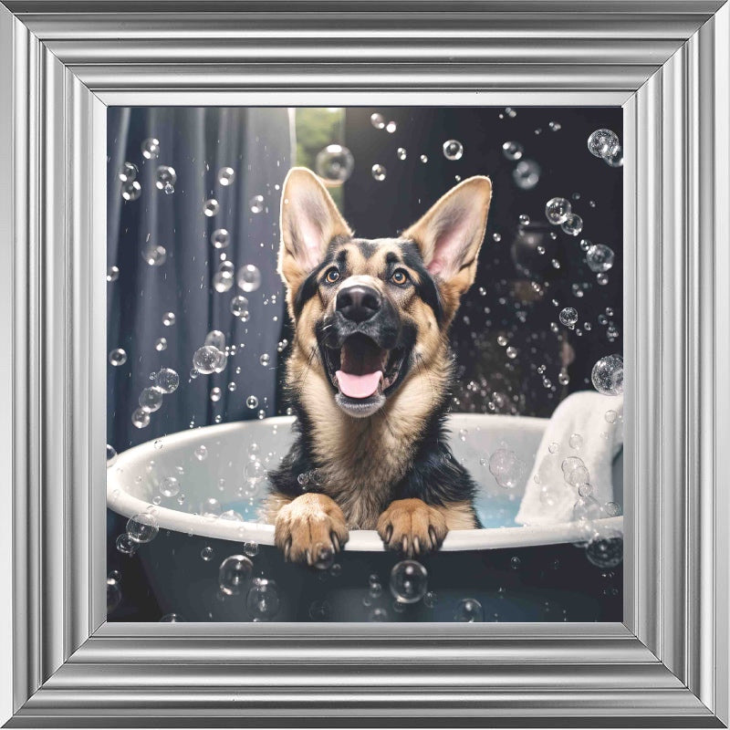 German Shepard Bath Time