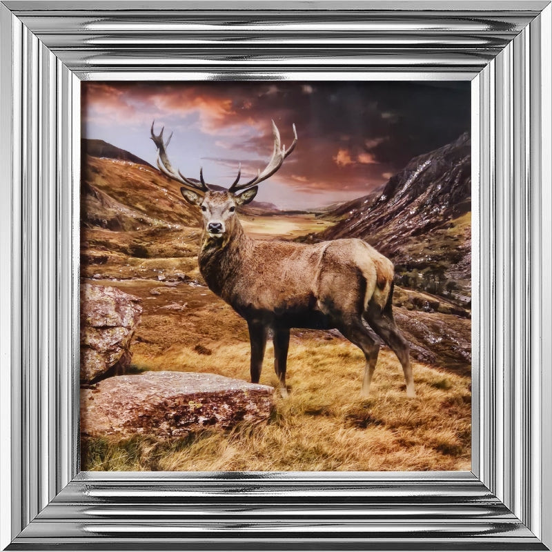Stag
